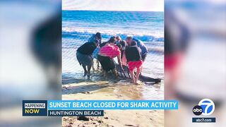Sunset Beach in Orange County closed due to shark activity