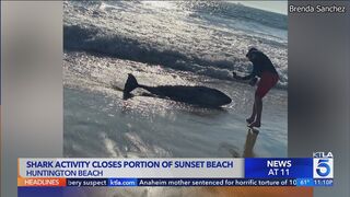 Shark activity closes portion of Sunset Beach