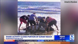 Shark activity closes portion of Sunset Beach