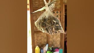 ????????WATER STORAGE & MORENA BARBIE TRIES BIKINIS FOR PARASAILING BEACH TRIP BOHOL ISLAND PHILIPPINES