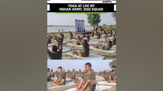 Yoga at LOC by Indian Army soldiers and dog squad ahead of International Yoga Day