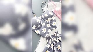 4K see through clothes everything | try on Haul | white transparent dress 4K