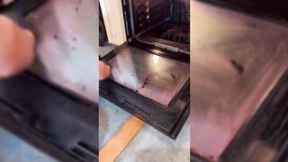 "4K Transparent Cleaning | Easy Mirror Cleaning Tutorial | Home Cleaning Routine" With Rose Mevan