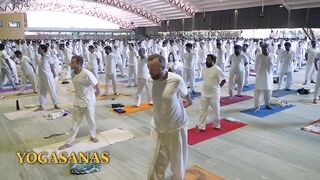 What Can 21 Days of Hatha Yoga Do to You?