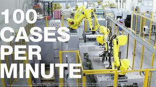 Flexible Layer Forming and Palletizing