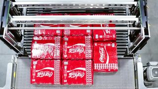 Flexible Layer Forming and Palletizing