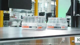 Flexible Layer Forming and Palletizing