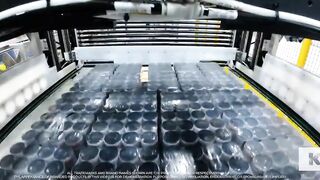 Flexible Layer Forming and Palletizing